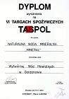 VI Targi TASPOL 96 - wyróżnienie